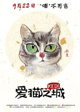 伊斯坦布尔的猫